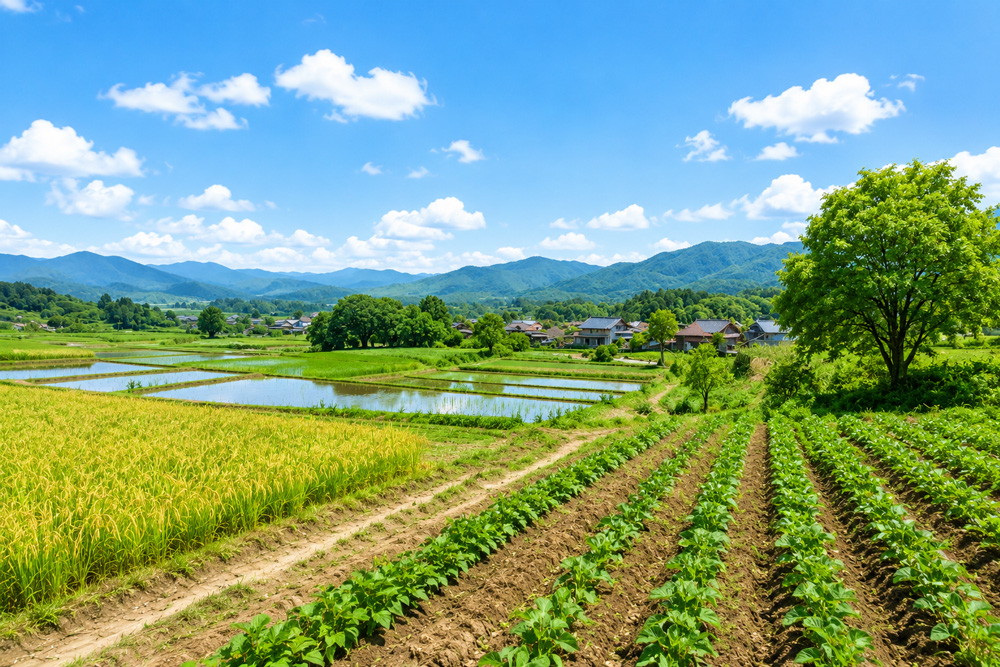 己のイメージである田畑の土